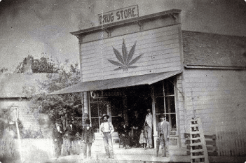 Utah cannabis history