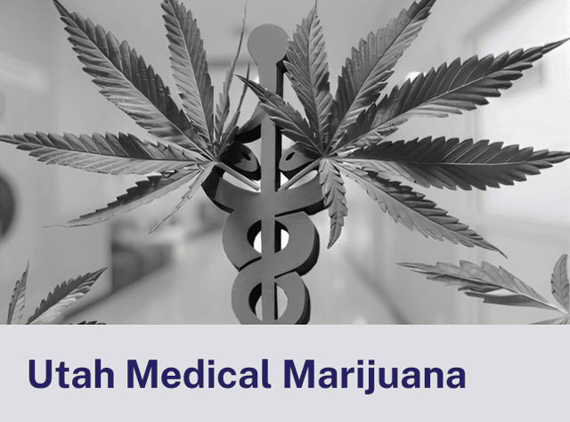 Utah Medical.png